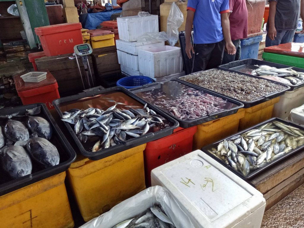 tempat menarik di besut terengganu