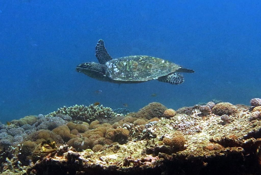tempat menarik di pulau perhentian