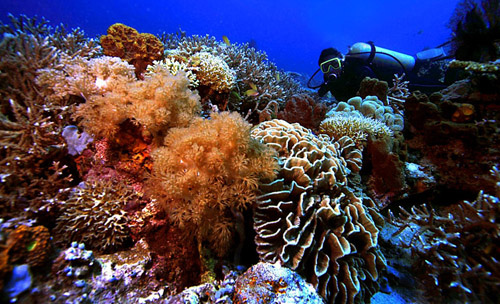 tempat menarik di pulau perhentian