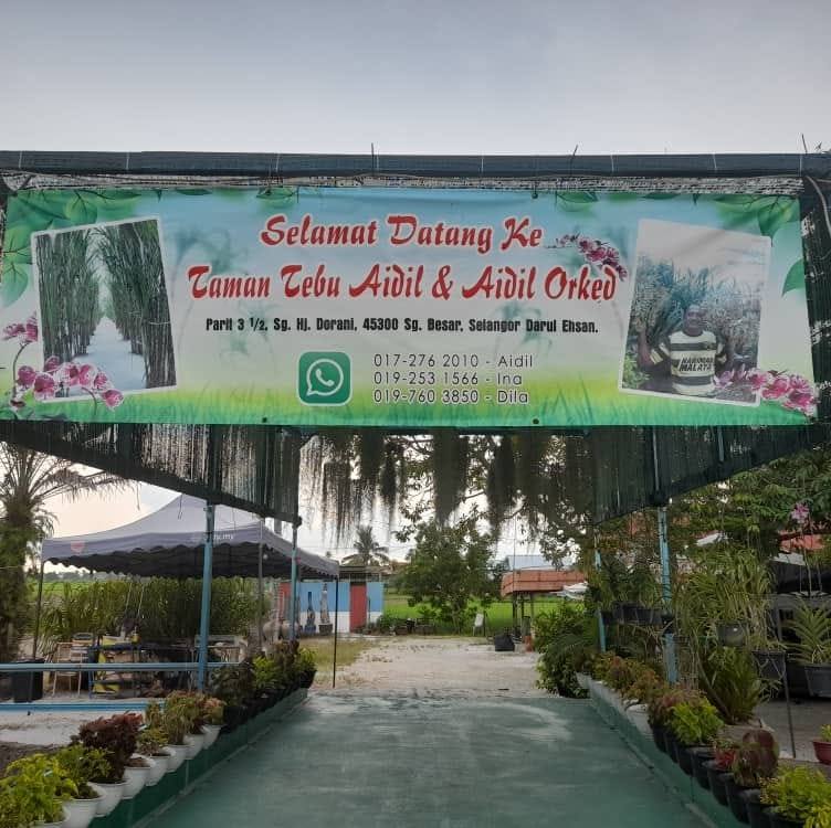Laman Tebu Aidil: Air Tebu Sekinchan
